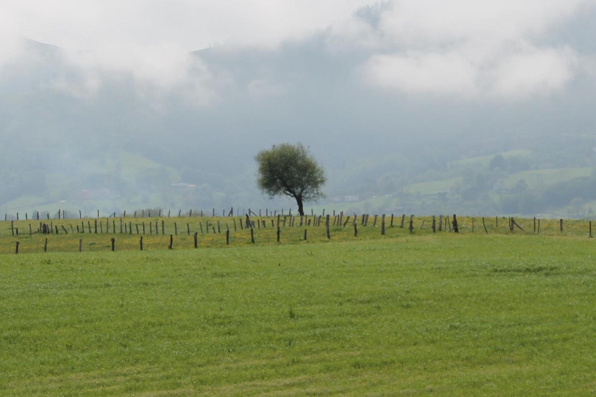 Villa Casa De Aldea Monga 9 En Nava, Asturias Esterno foto