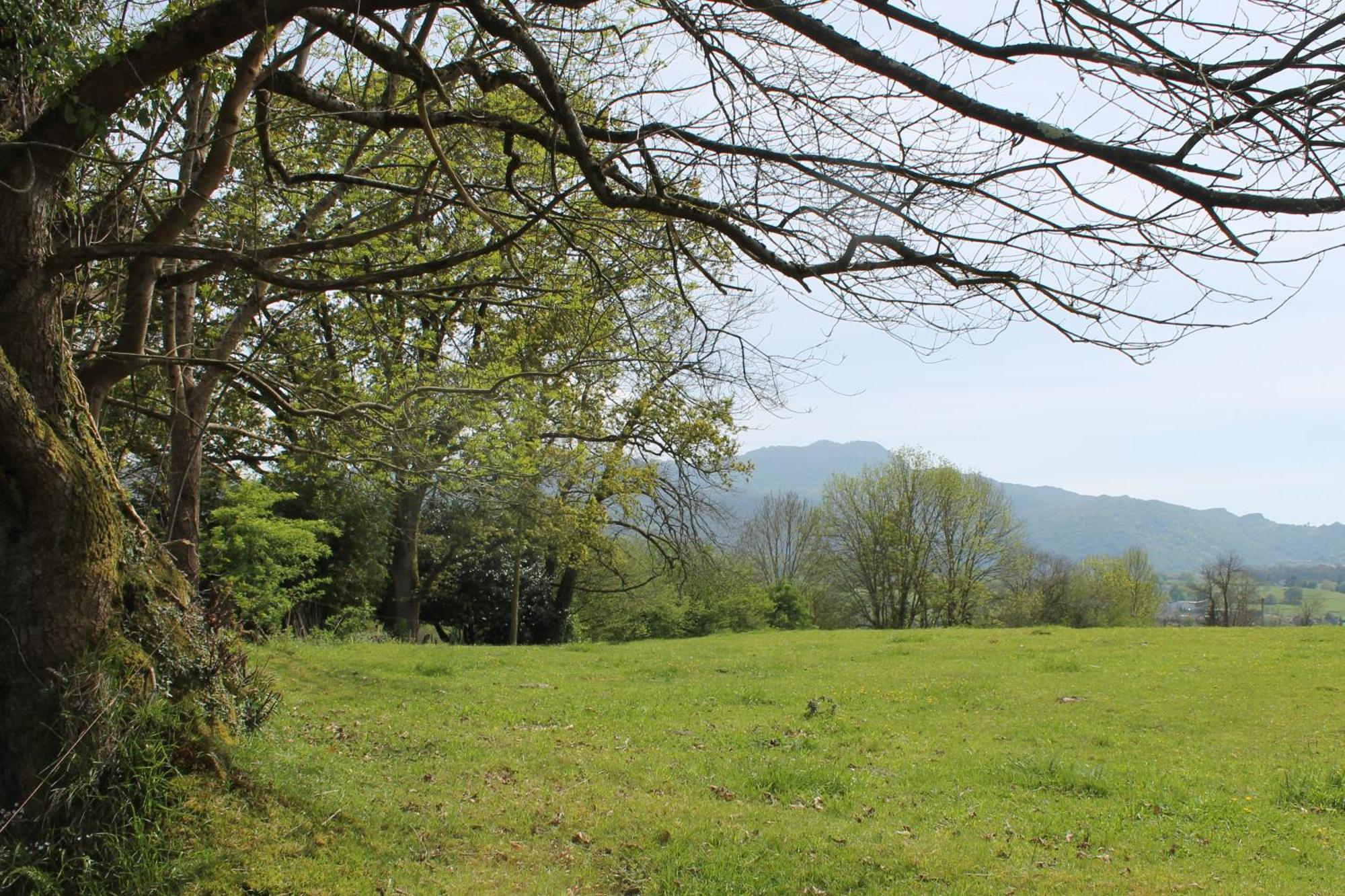 Villa Casa De Aldea Monga 9 En Nava, Asturias Esterno foto