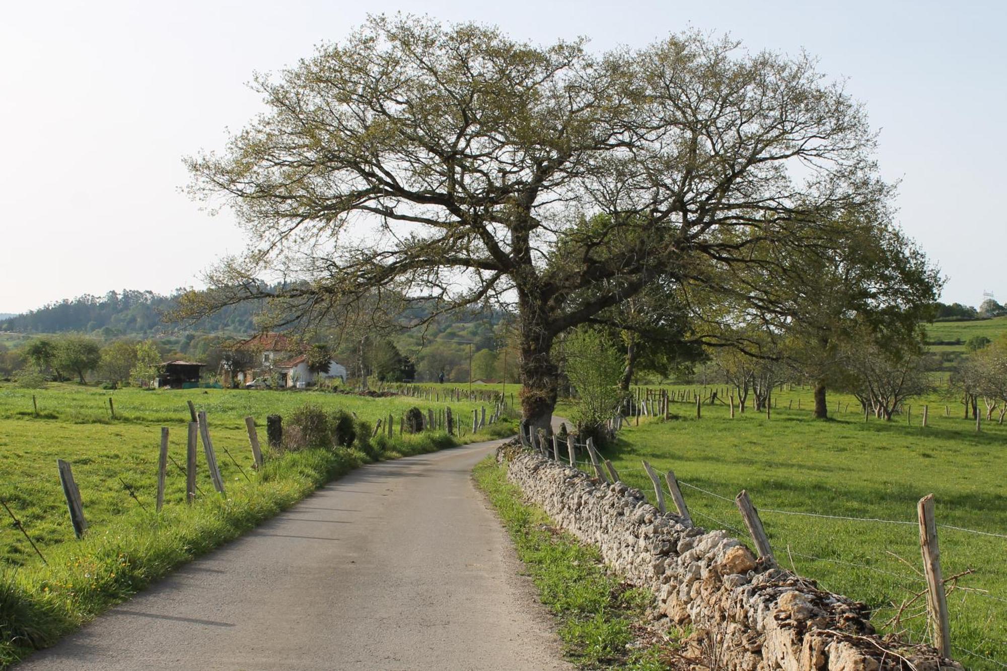 Villa Casa De Aldea Monga 9 En Nava, Asturias Esterno foto