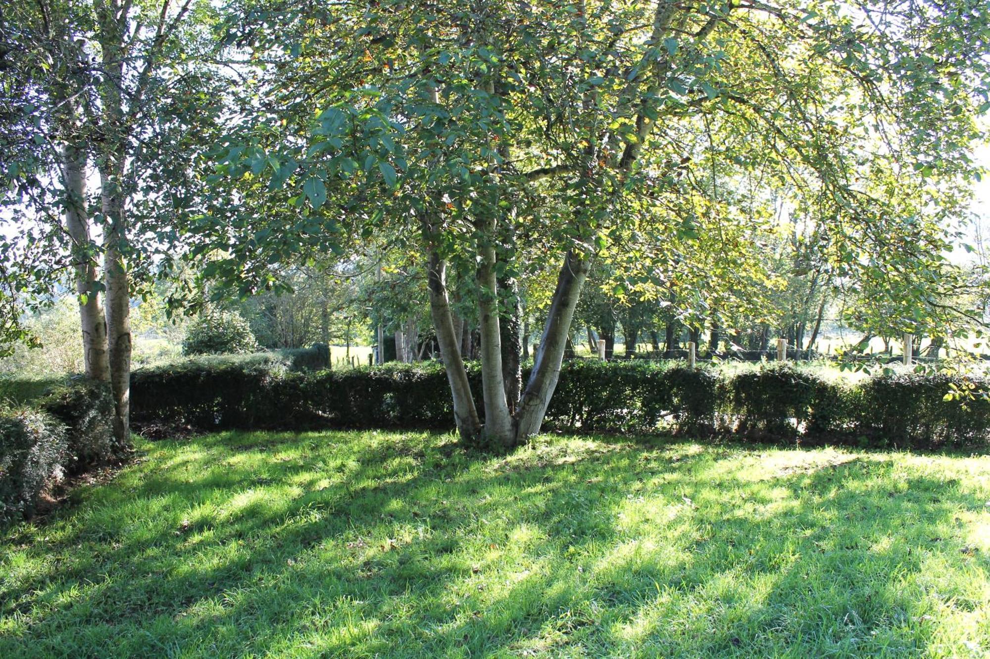 Villa Casa De Aldea Monga 9 En Nava, Asturias Esterno foto